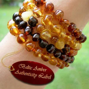 baltic amber adult bracelets on wrist, main image - a life in harmony amber